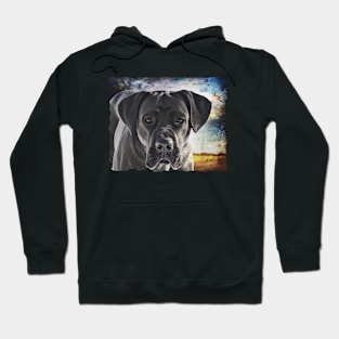 Cane Corso Dog With Floppy Ears Hoodie